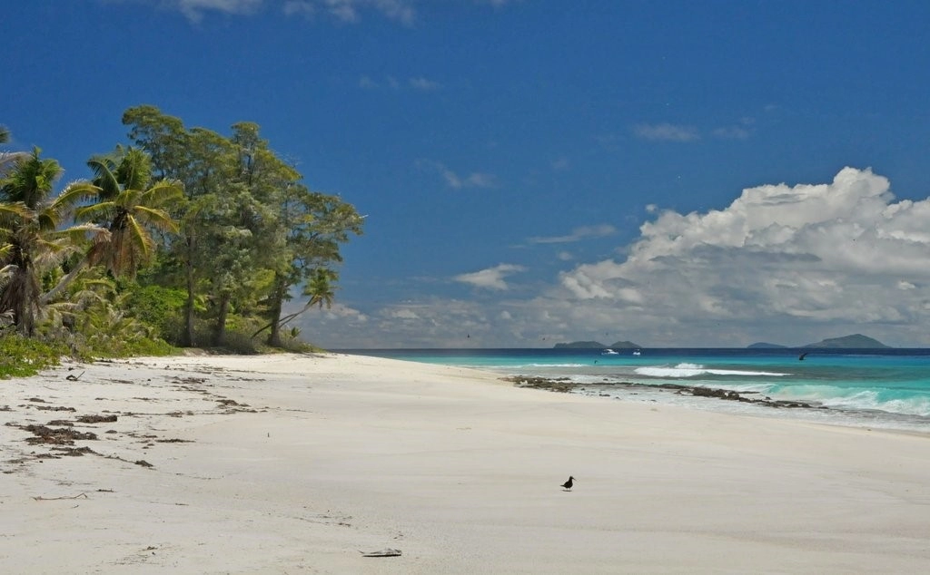 100 дней на острове. Остров арид. Арид Сейшелы. Aride Island Seychelles площадь. Островок сен-Пьер Сейшелы.